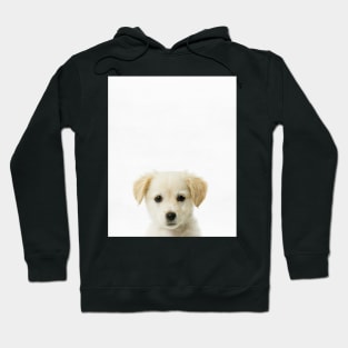 Puppy, Baby, Nursery, Animal, Kids room, Modern art, Wall decor Hoodie